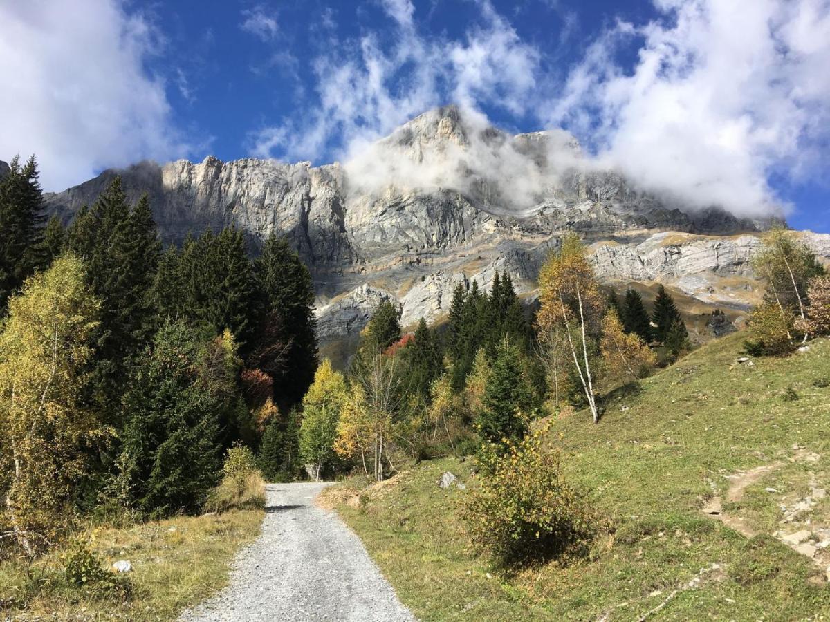 Fizhome Mt Blanc Passy  Exterior foto