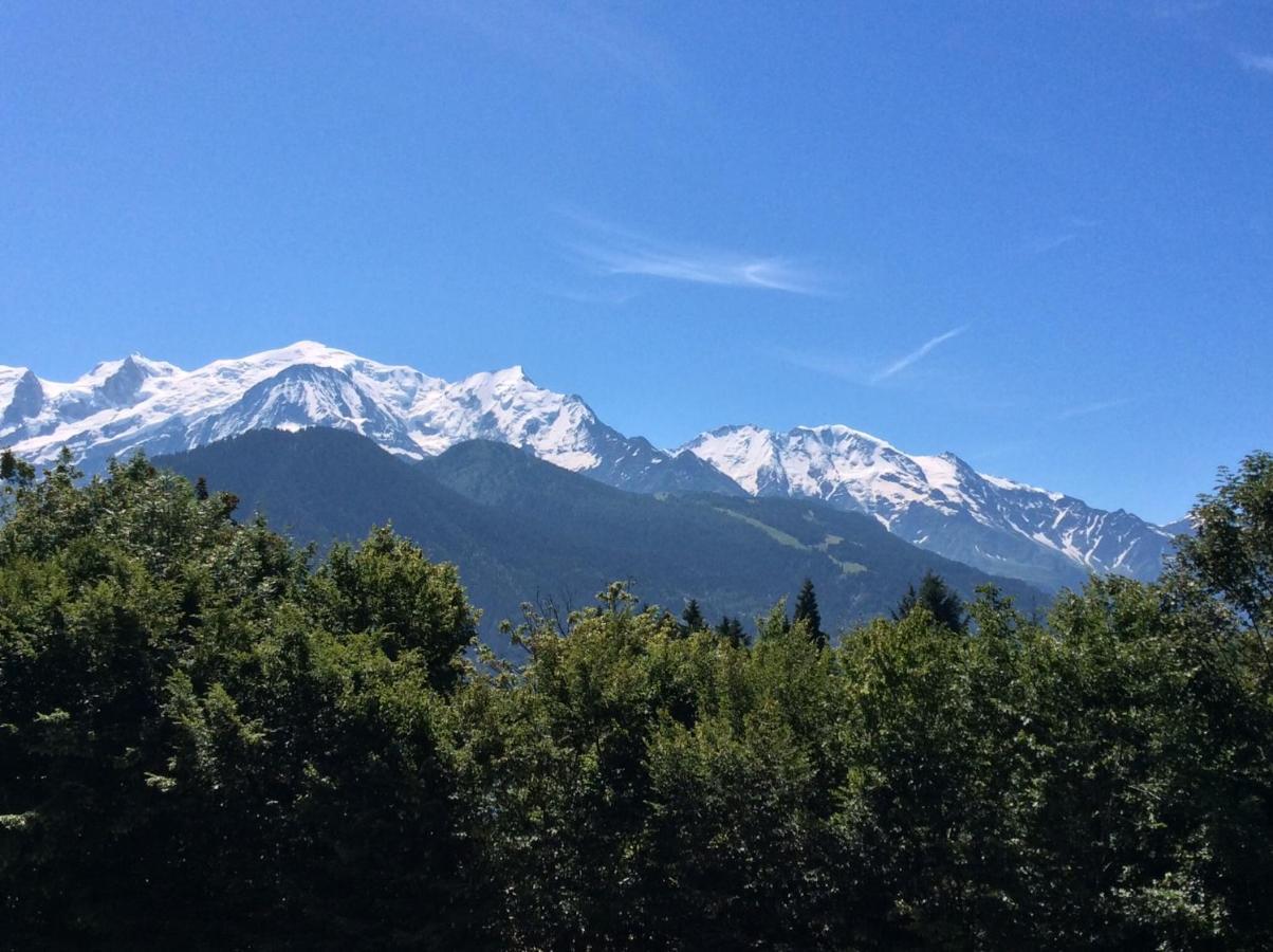 Fizhome Mt Blanc Passy  Exterior foto